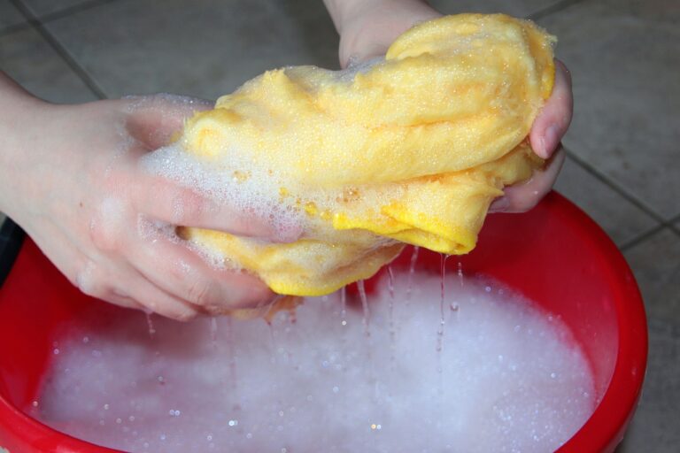 The Process of Washing and Sanitizing Dishes